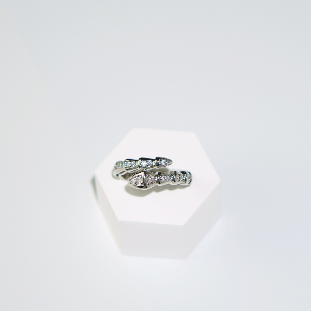 Serpentine (Silver) Ring